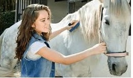 girl grooming horse