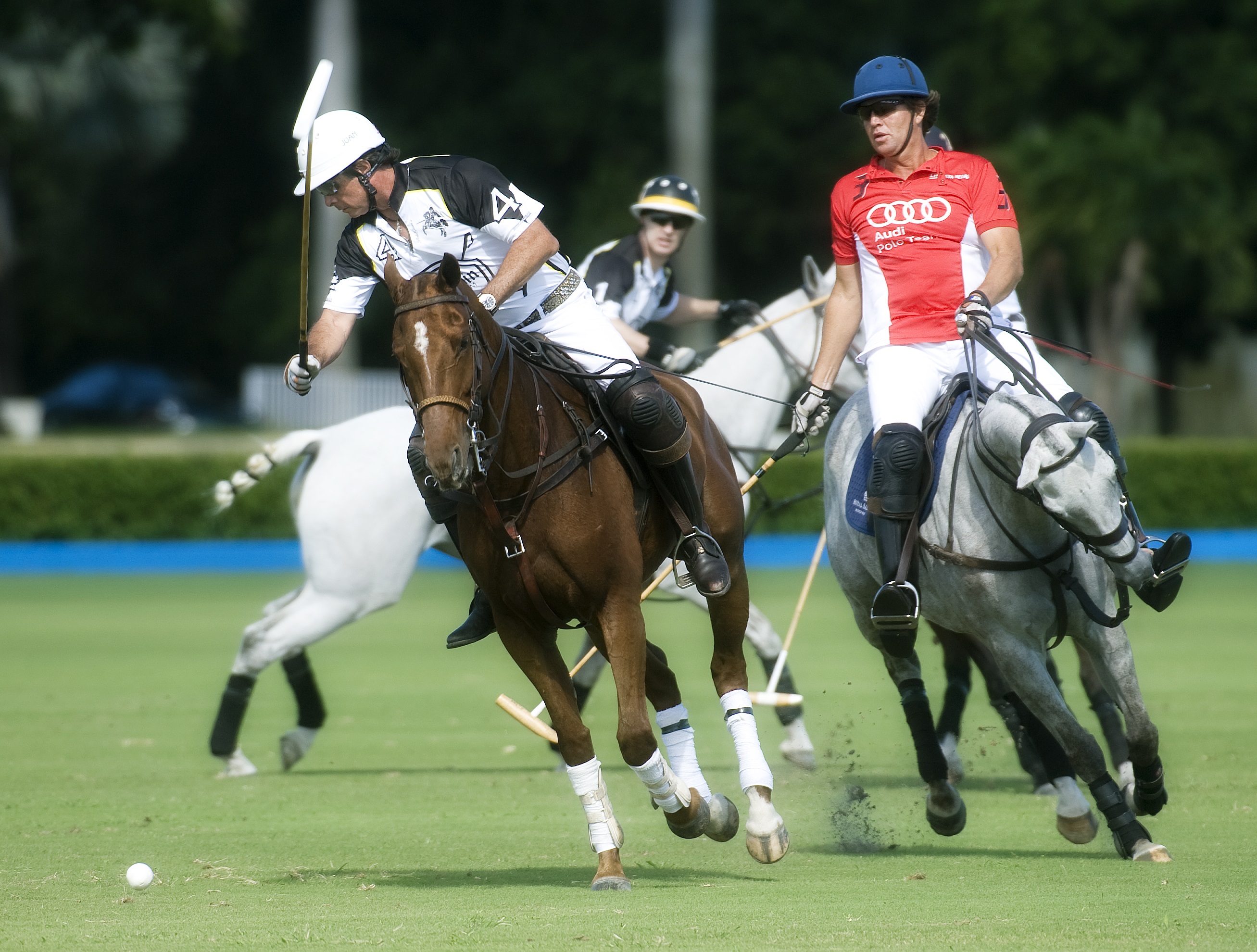 polo players and their horses